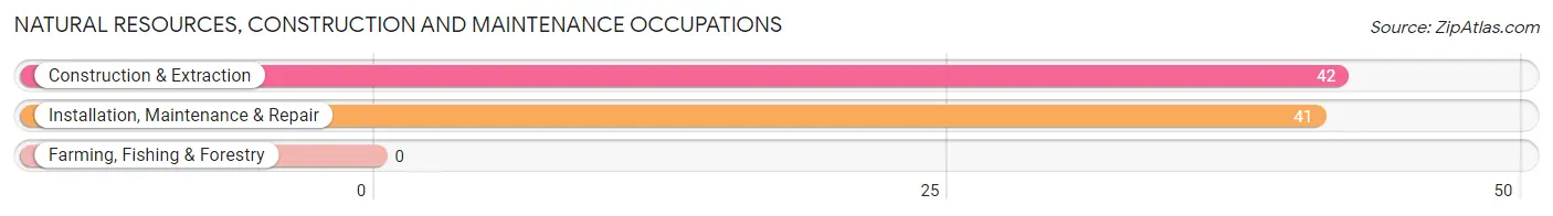 Natural Resources, Construction and Maintenance Occupations in Yarmouth