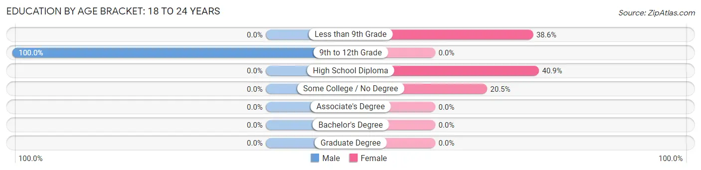 Education By Age Bracket in Columbus: 18 to 24 Years