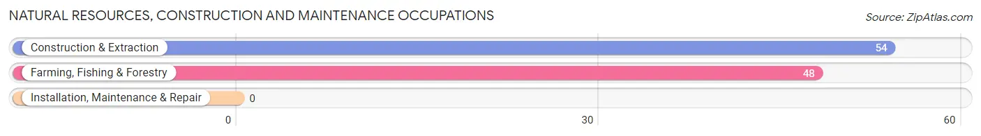 Natural Resources, Construction and Maintenance Occupations in Columbus