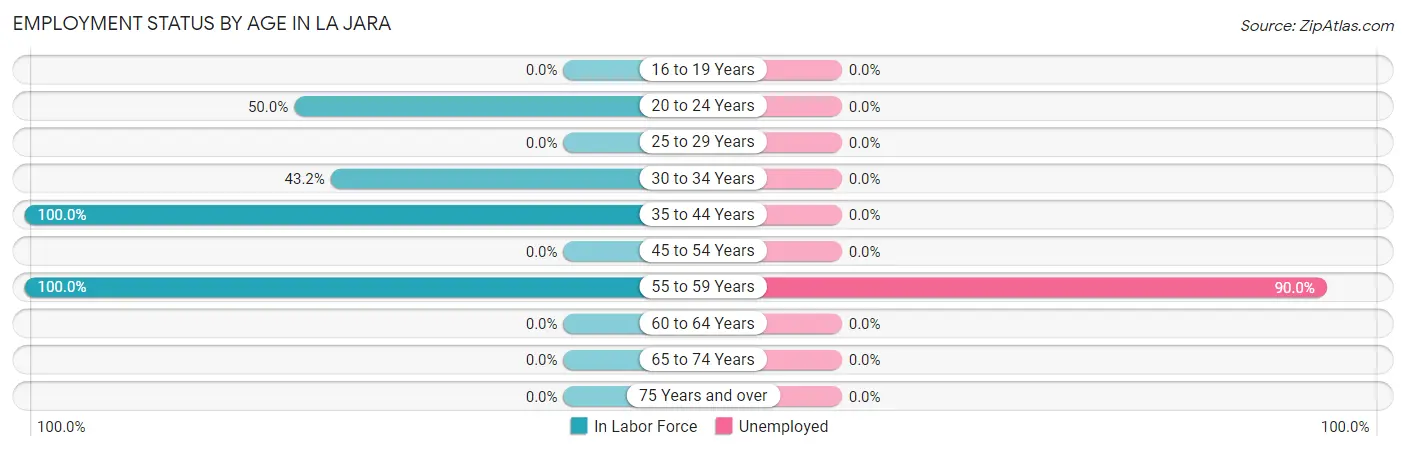 Employment Status by Age in La Jara
