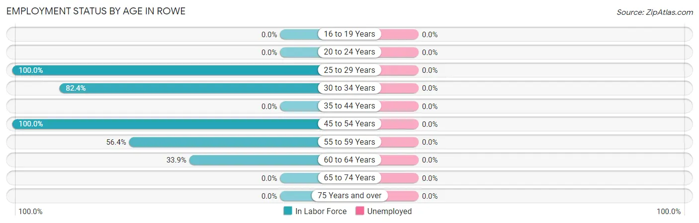Employment Status by Age in Rowe