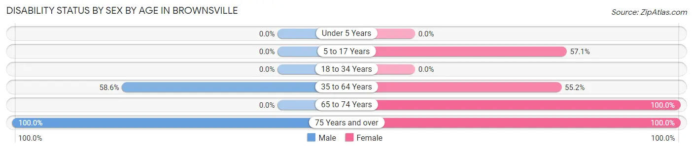 Disability Status by Sex by Age in Brownsville