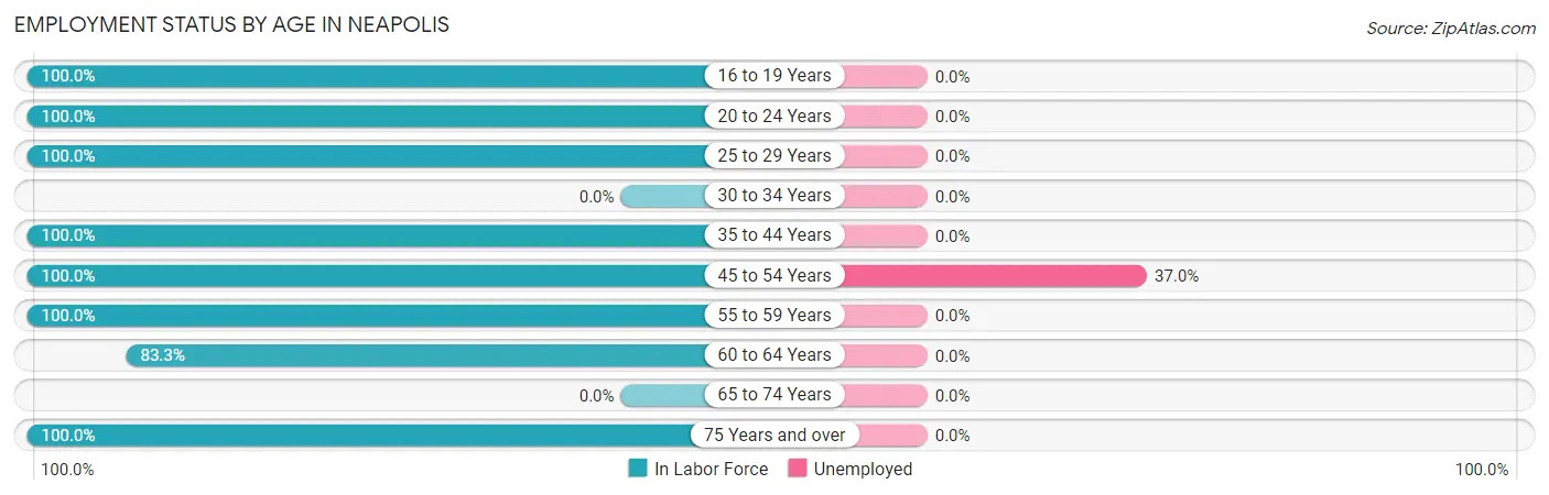 Employment Status by Age in Neapolis