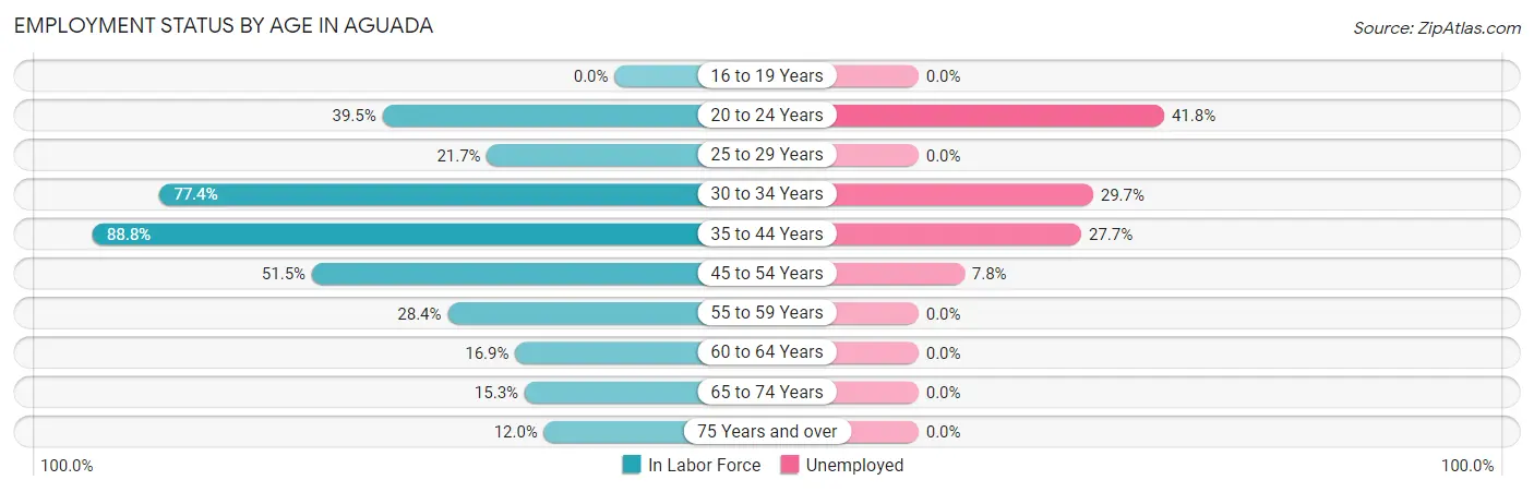 Employment Status by Age in Aguada