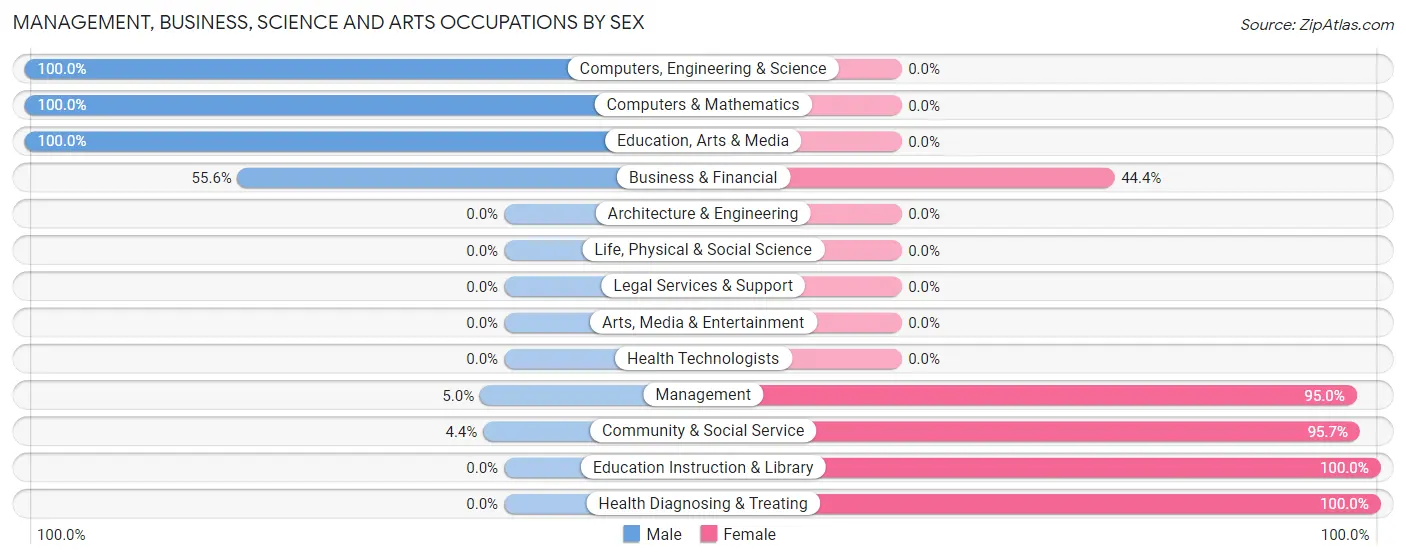 Management, Business, Science and Arts Occupations by Sex in Aguada