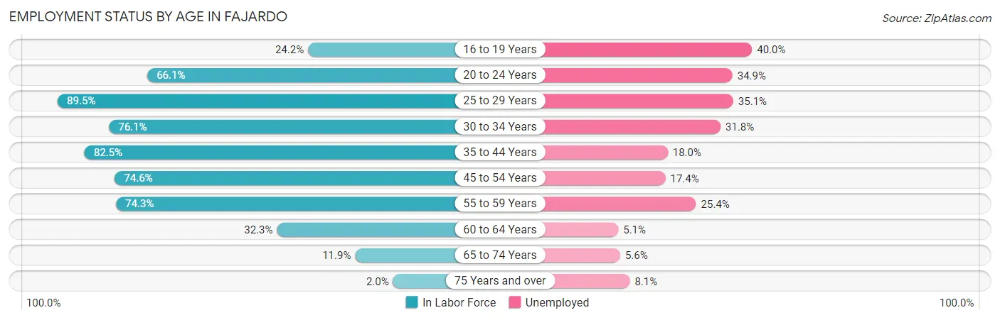 Employment Status by Age in Fajardo