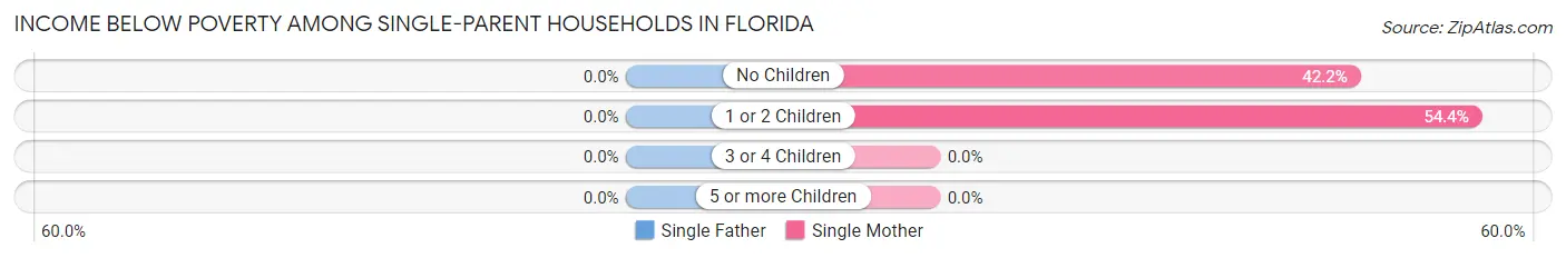 Income Below Poverty Among Single-Parent Households in Florida
