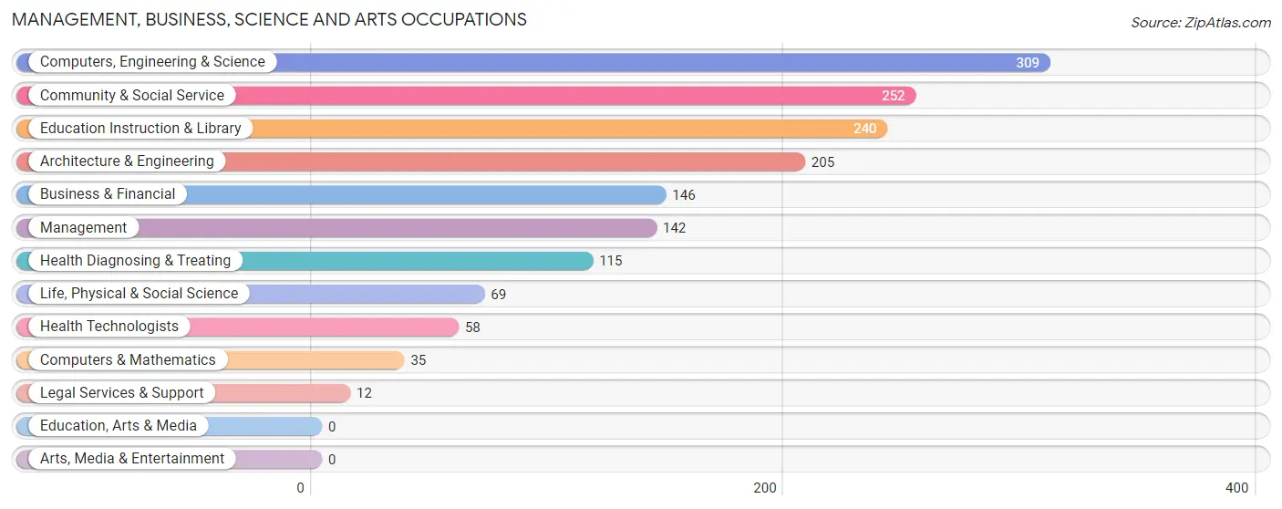 Management, Business, Science and Arts Occupations in Isabela