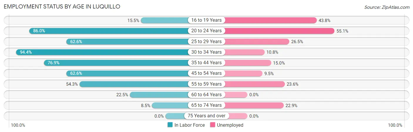 Employment Status by Age in Luquillo