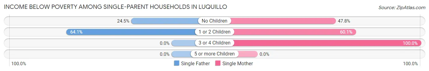 Income Below Poverty Among Single-Parent Households in Luquillo