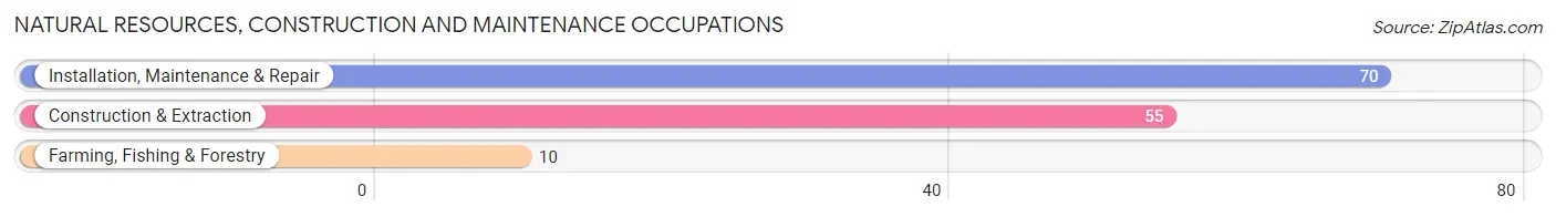 Natural Resources, Construction and Maintenance Occupations in Luquillo