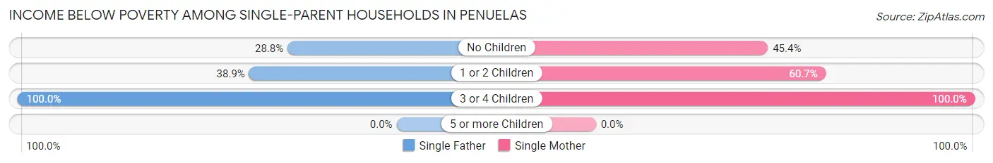 Income Below Poverty Among Single-Parent Households in Penuelas