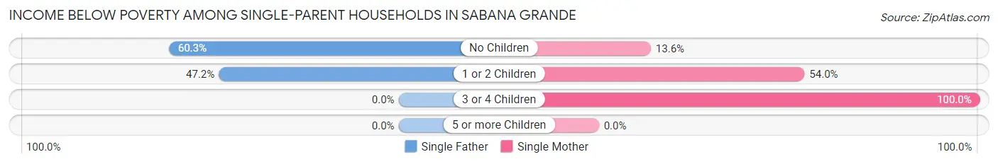 Income Below Poverty Among Single-Parent Households in Sabana Grande
