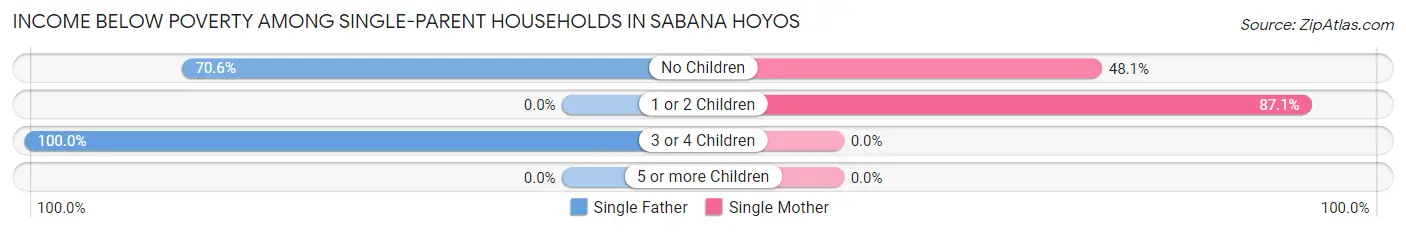 Income Below Poverty Among Single-Parent Households in Sabana Hoyos