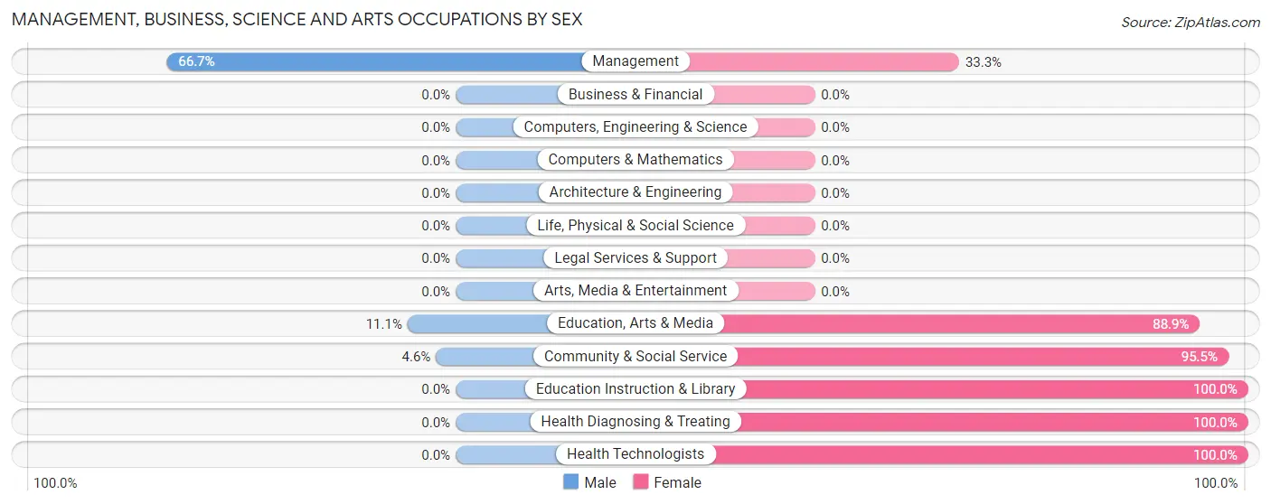 Management, Business, Science and Arts Occupations by Sex in Villalba