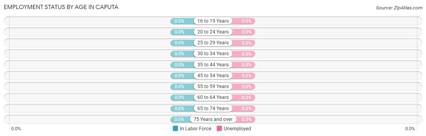 Employment Status by Age in Caputa