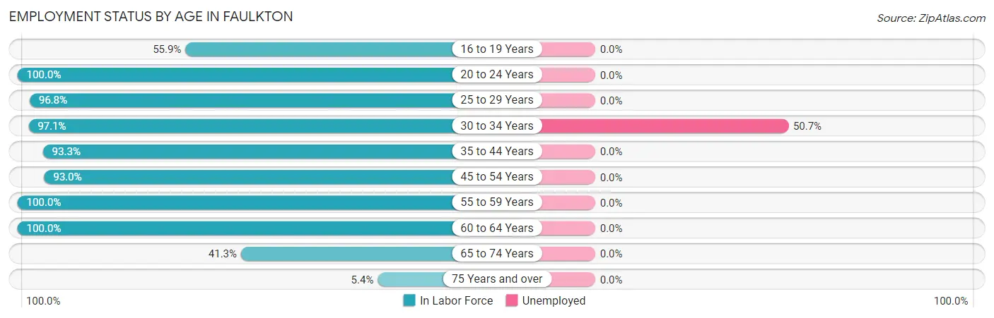 Employment Status by Age in Faulkton
