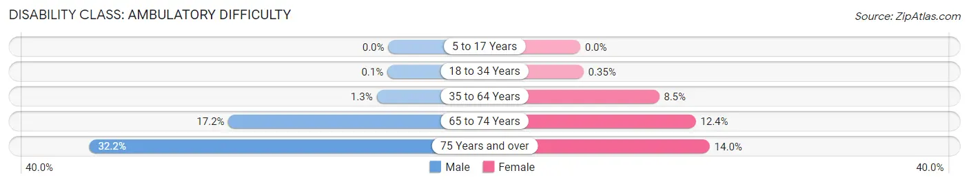 Disability in Mitchell: <span>Ambulatory Difficulty</span>