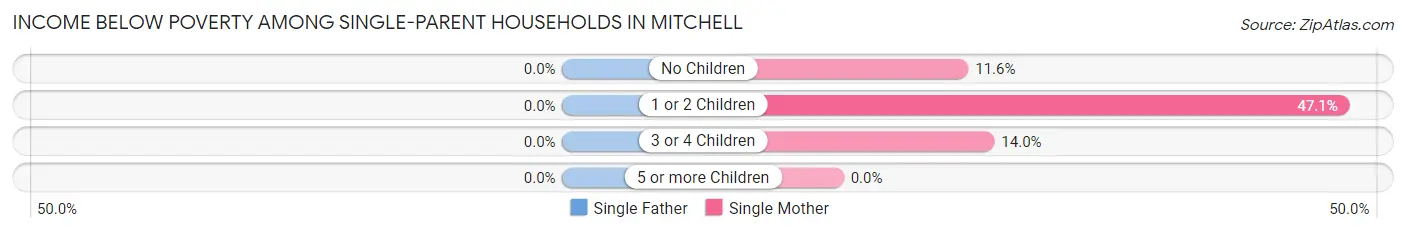 Income Below Poverty Among Single-Parent Households in Mitchell