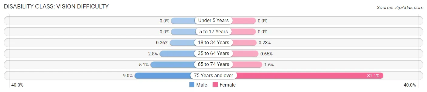 Disability in Mitchell: <span>Vision Difficulty</span>