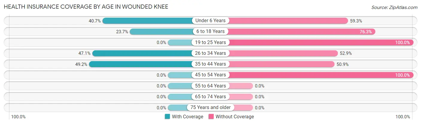 Health Insurance Coverage by Age in Wounded Knee