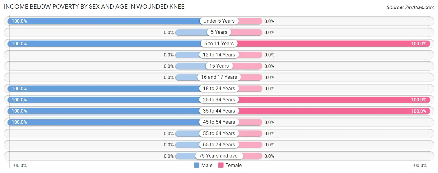 Income Below Poverty by Sex and Age in Wounded Knee
