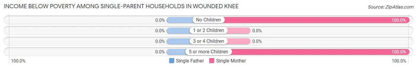 Income Below Poverty Among Single-Parent Households in Wounded Knee