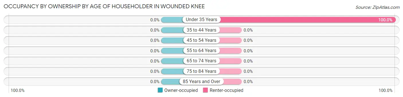Occupancy by Ownership by Age of Householder in Wounded Knee