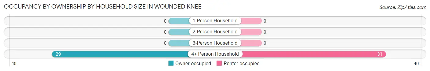 Occupancy by Ownership by Household Size in Wounded Knee