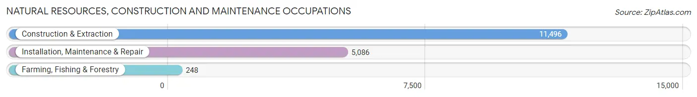 Natural Resources, Construction and Maintenance Occupations in New York County