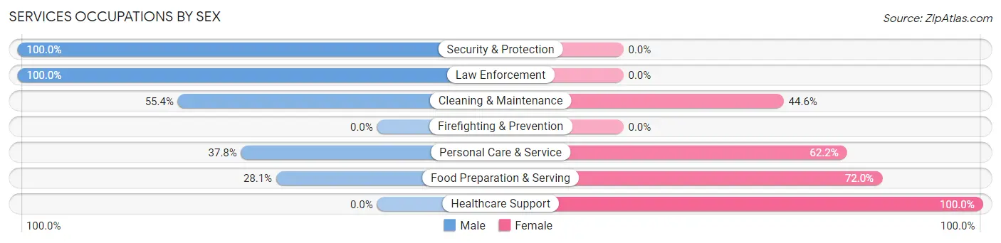 Services Occupations by Sex in Zip Code 03901
