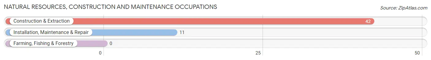 Natural Resources, Construction and Maintenance Occupations in Zip Code 03902