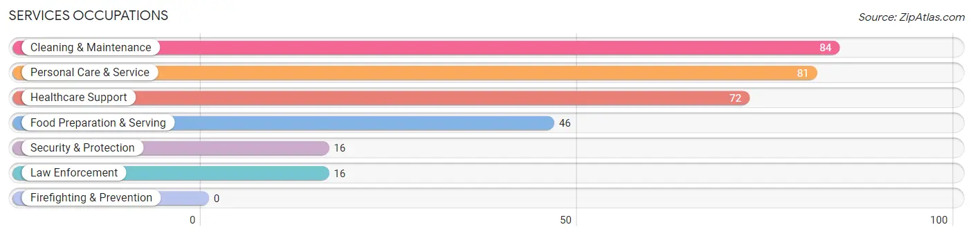 Services Occupations in Zip Code 03902