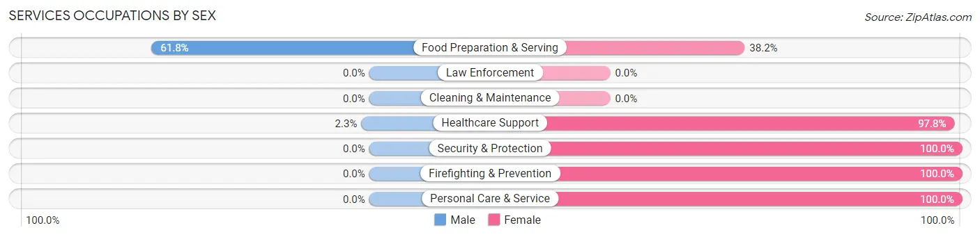 Services Occupations by Sex in Zip Code 03903