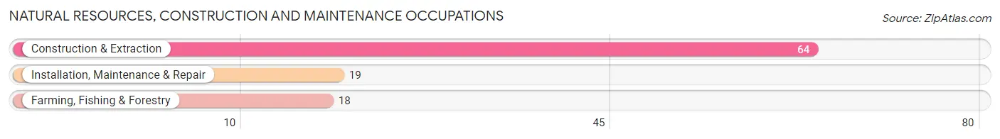 Natural Resources, Construction and Maintenance Occupations in Zip Code 03905