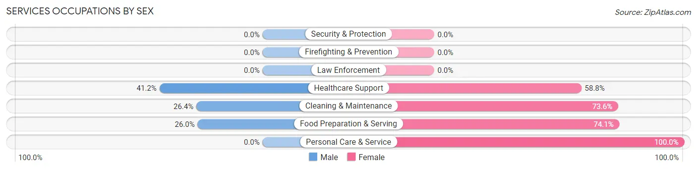 Services Occupations by Sex in Zip Code 03906