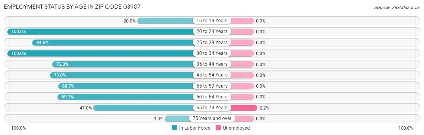 Employment Status by Age in Zip Code 03907