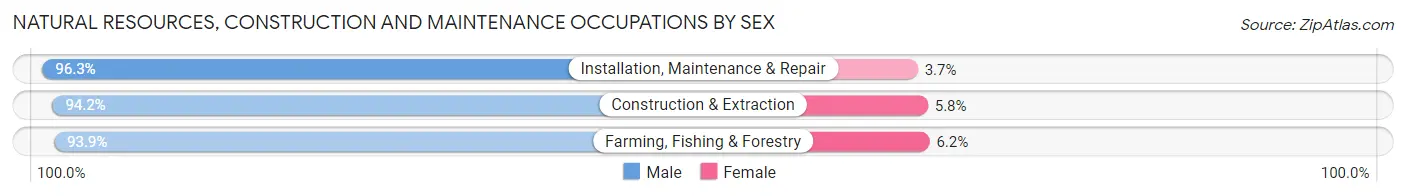 Natural Resources, Construction and Maintenance Occupations by Sex in Zip Code 04005