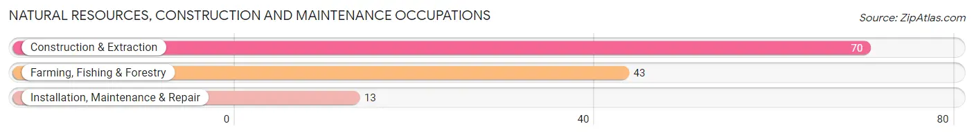 Natural Resources, Construction and Maintenance Occupations in Zip Code 04008