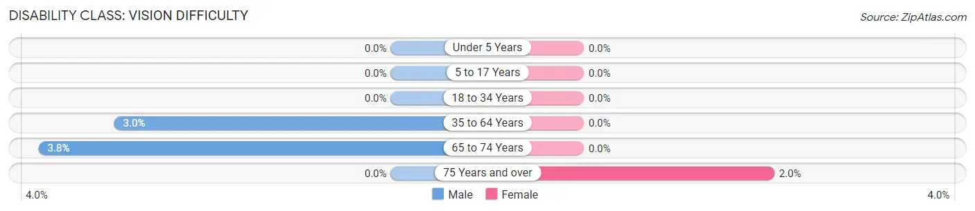 Disability in Zip Code 04010: <span>Vision Difficulty</span>