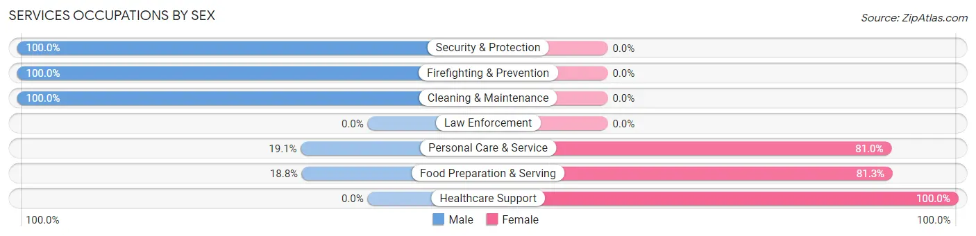 Services Occupations by Sex in Zip Code 04020