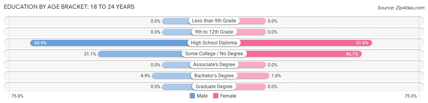 Education By Age Bracket in Zip Code 04032: 18 to 24 Years