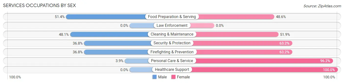 Services Occupations by Sex in Zip Code 04032