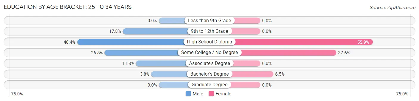 Education By Age Bracket in Zip Code 04037: 25 to 34 Years