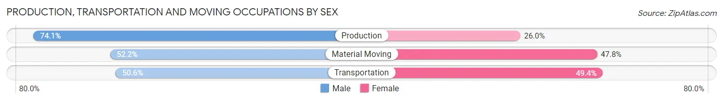 Production, Transportation and Moving Occupations by Sex in Zip Code 04037