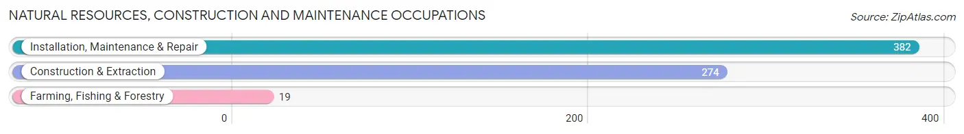 Natural Resources, Construction and Maintenance Occupations in Zip Code 04038