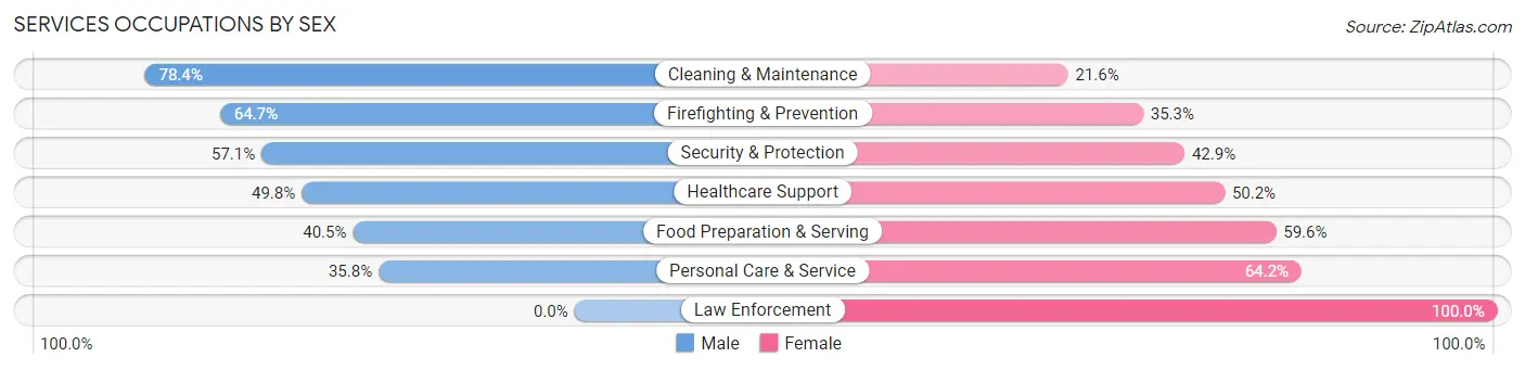 Services Occupations by Sex in Zip Code 04038