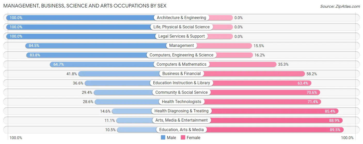 Management, Business, Science and Arts Occupations by Sex in Zip Code 04040