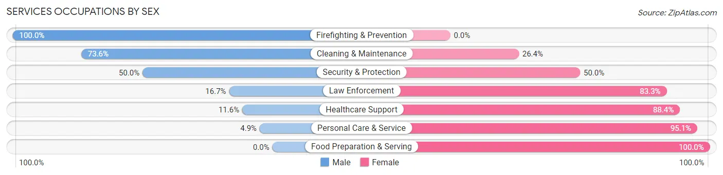 Services Occupations by Sex in Zip Code 04040