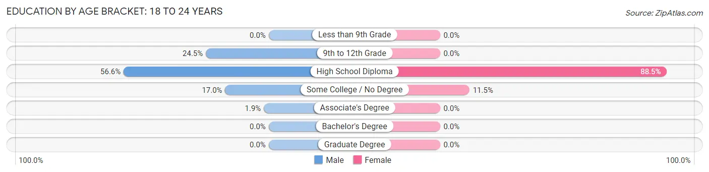 Education By Age Bracket in Zip Code 04041: 18 to 24 Years